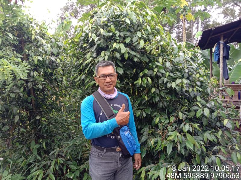 Kelola Sampah Kurangi Emisi Bangun Proklim