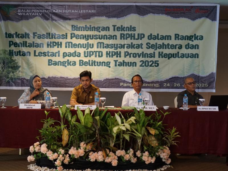Fasilitasi Penyusunan RPHJP Provinsi Kepulauan Bangka Belitung