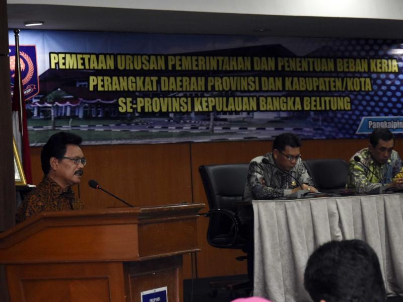 Penataan Kelembagaan Pemerintah Ciptakan Organisasi Kaya Fungsi