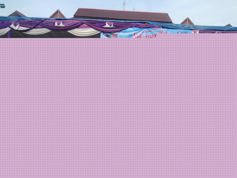 Wagub Pimpin Upacara Peringatan HANI 2016