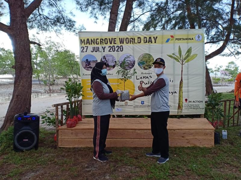 Dinas Lingkungan Hidup Memberikan Bantuan Bibit Asam di pantai Tapak Hantu Desa Batu Belubang