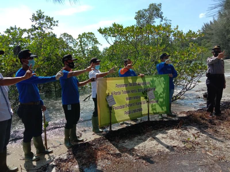 Peduli Lingkungan, Pemprov Kep. Babel dan PT. Pegadaian (Persero) Tanam 1000 Bibit Mangrove di Pantai Tapak Hantu