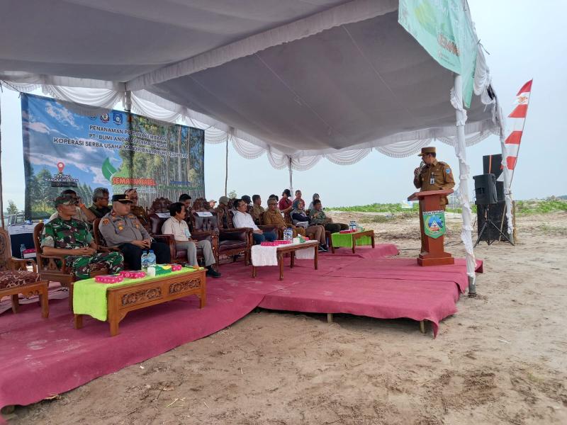 Pj Gubernur  Babel Sugito Tanam Kaliandra di Payung Bangka Selatan