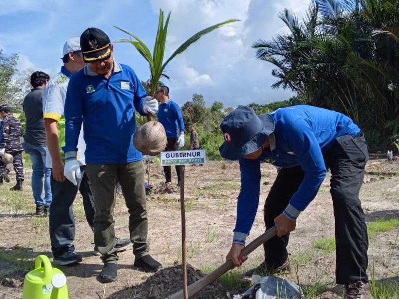 Kolaborasi PT. PLN, IKEBANA dan Pemprov Babel Hijaukan Pesisir Pantai Tamberan