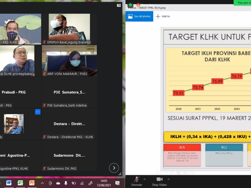 Fungsi Ekosistem Gambut Nasional (Skala 1:250.000)