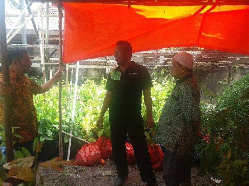 Kepala Dinas Lingkungan Hidup Daerah Meninjau 5000 Bibit di DLH Prov Bangka Belitung