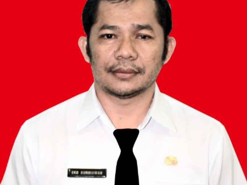 Kepala Dinas Lingkungan Hidup Provinsi Kepulauan Bangka Belitung