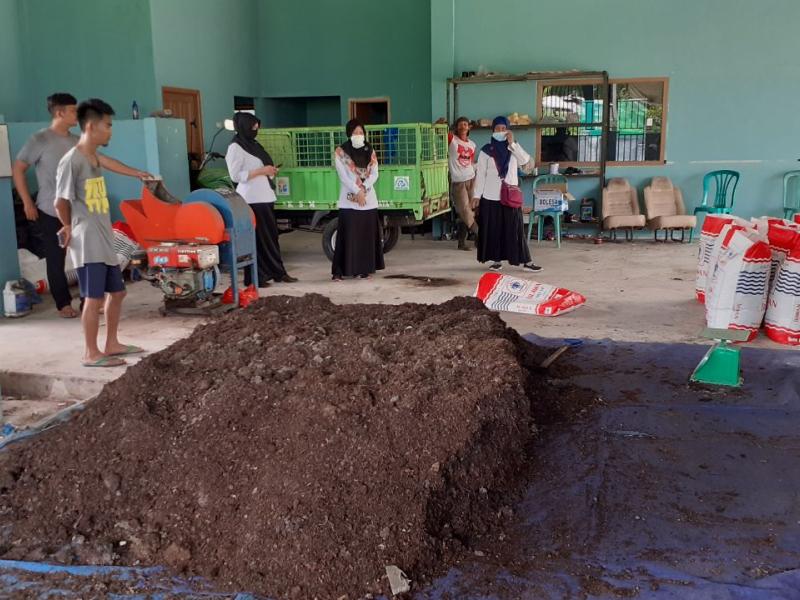 Panen hasil.. serius d kompos per kg 2500